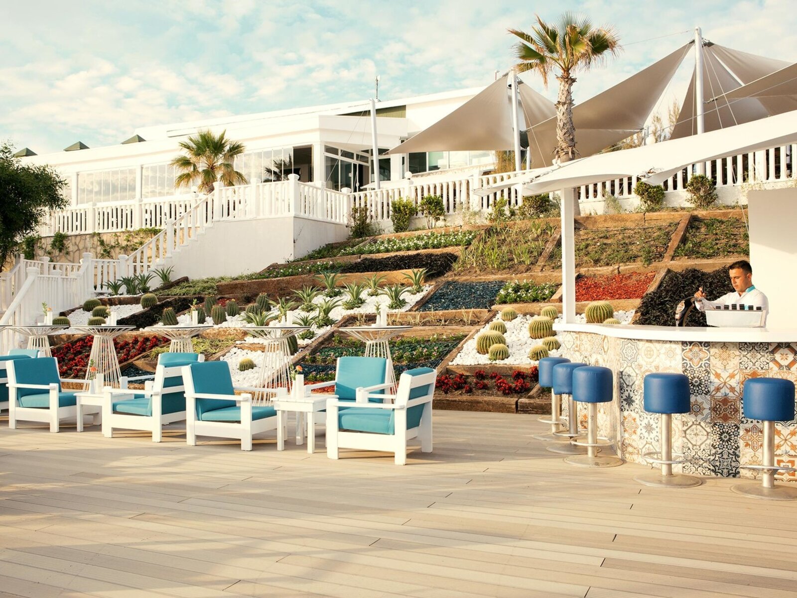 BLUE  BAR