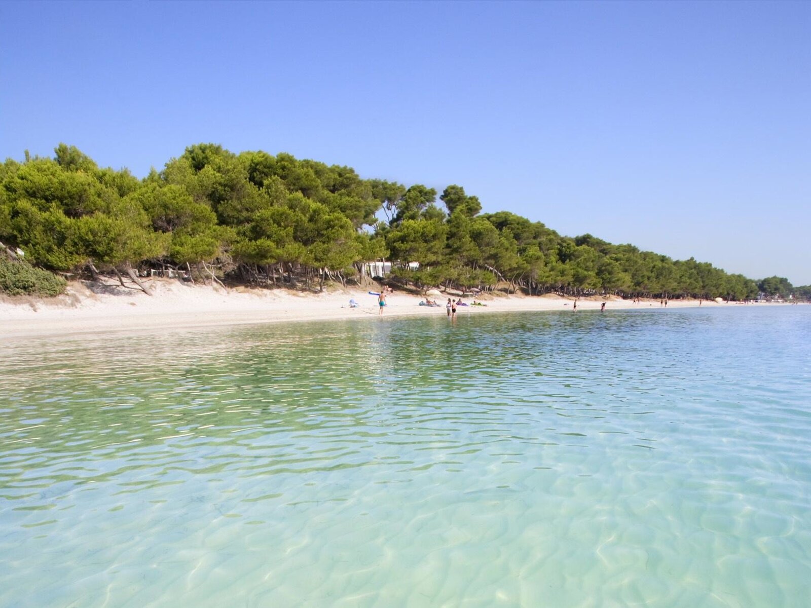 Playa de Alcudia/ Muro