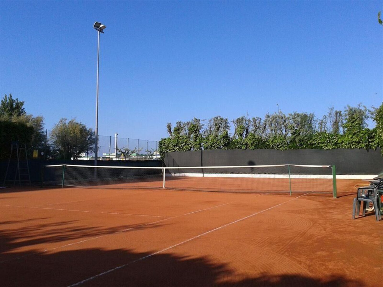 Sport