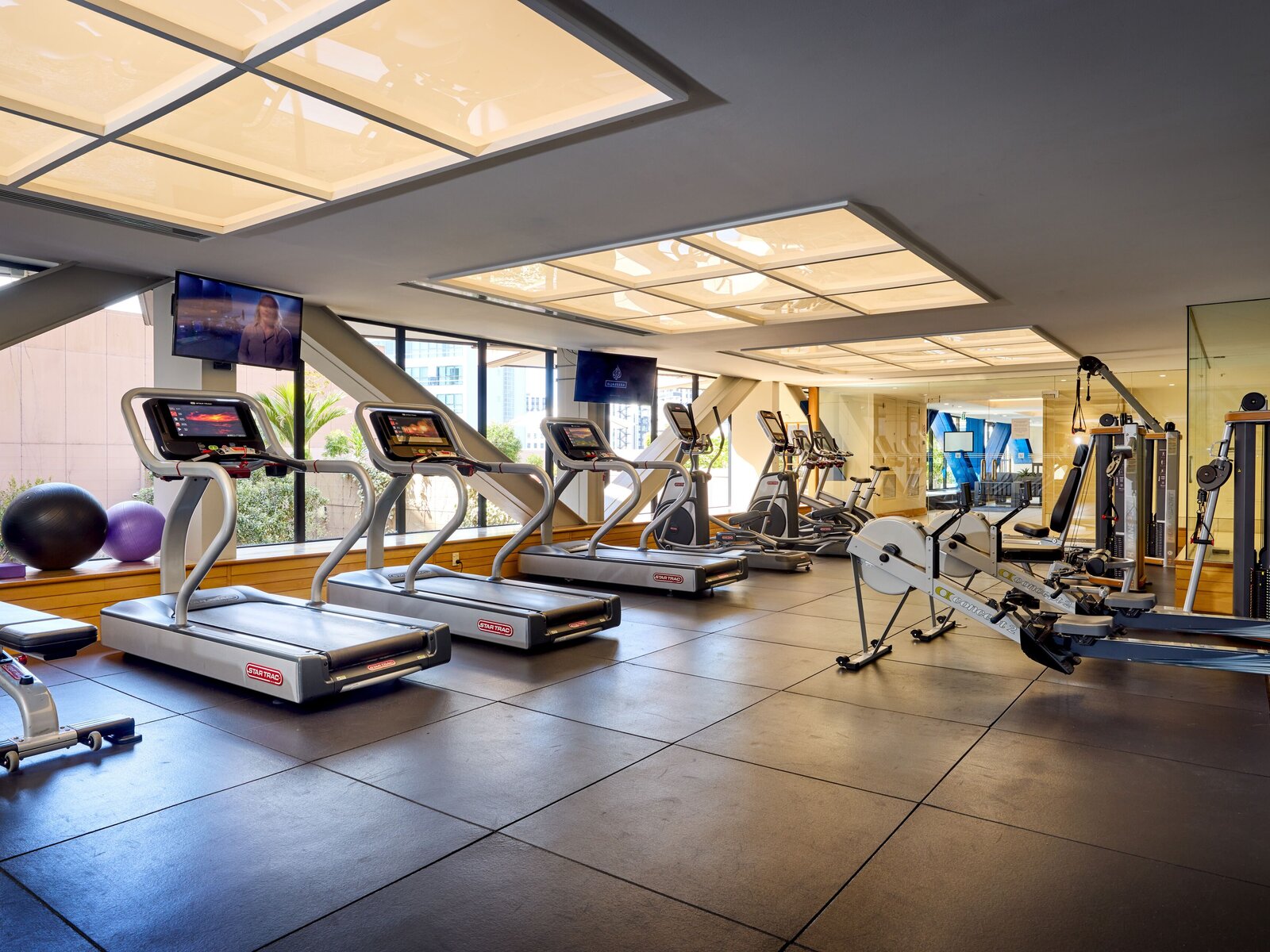 Sport