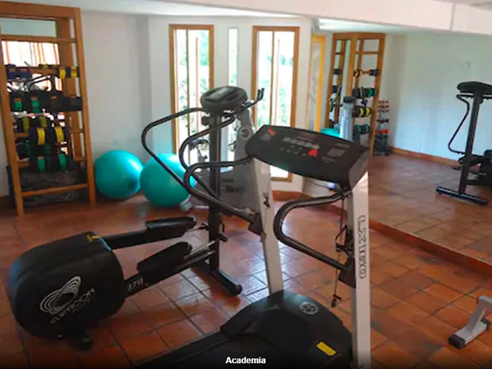 Sport