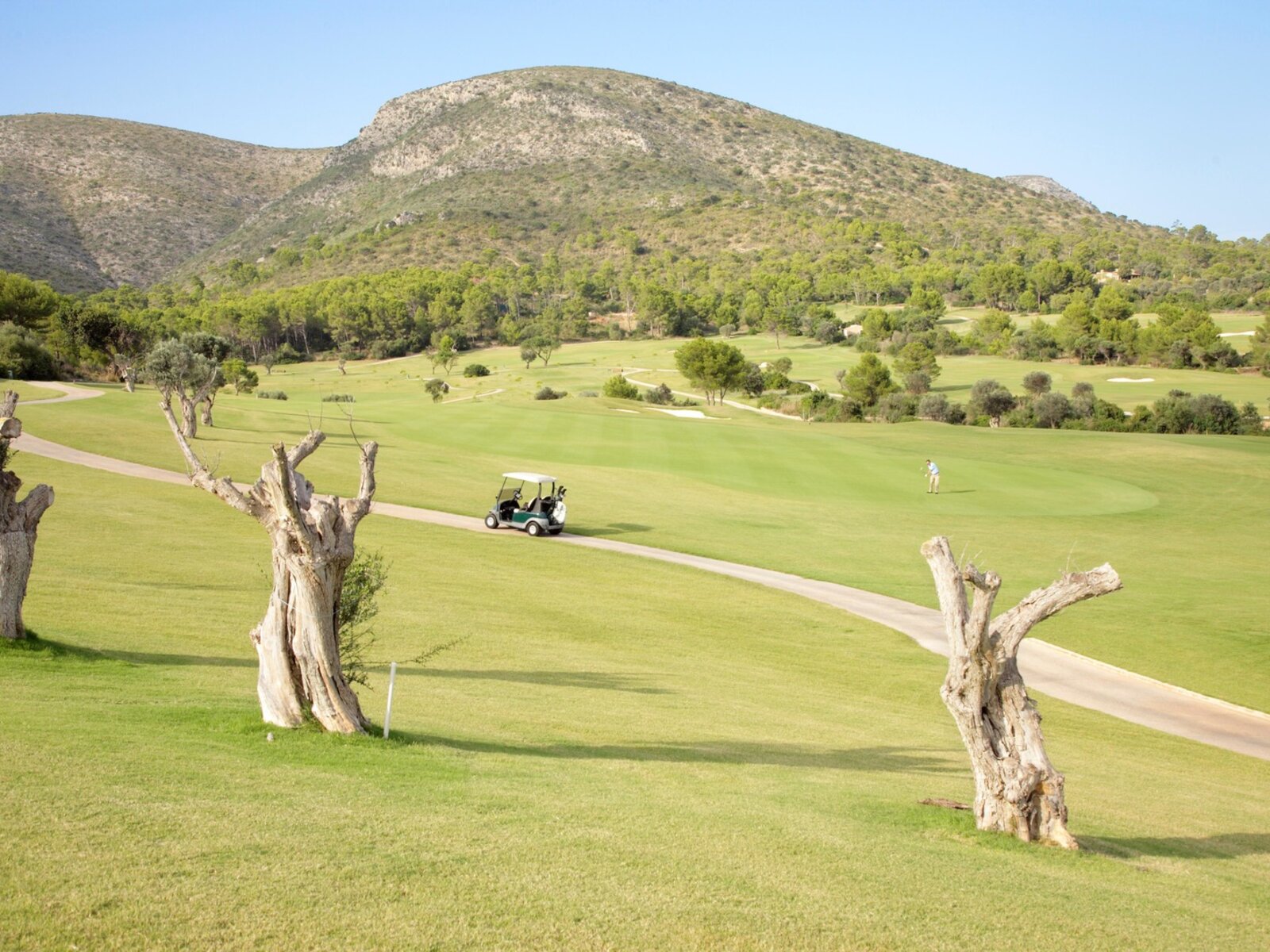 Golf