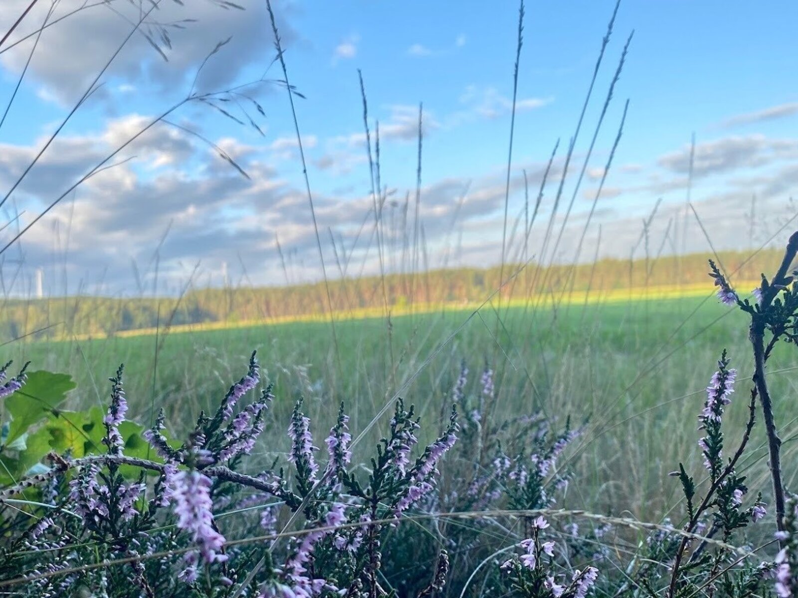 Landschaft