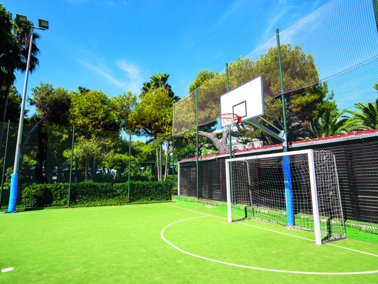 Sport