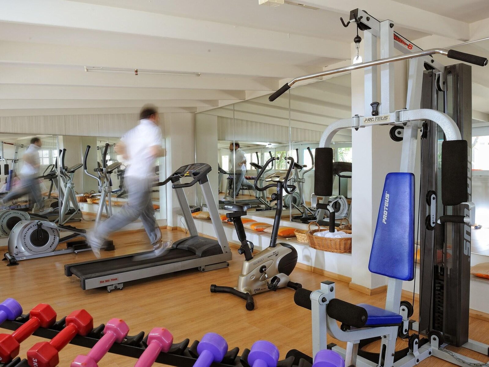 Sport