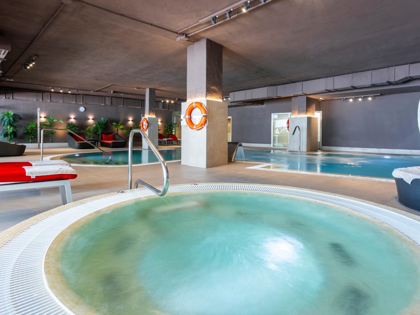 Wellness
