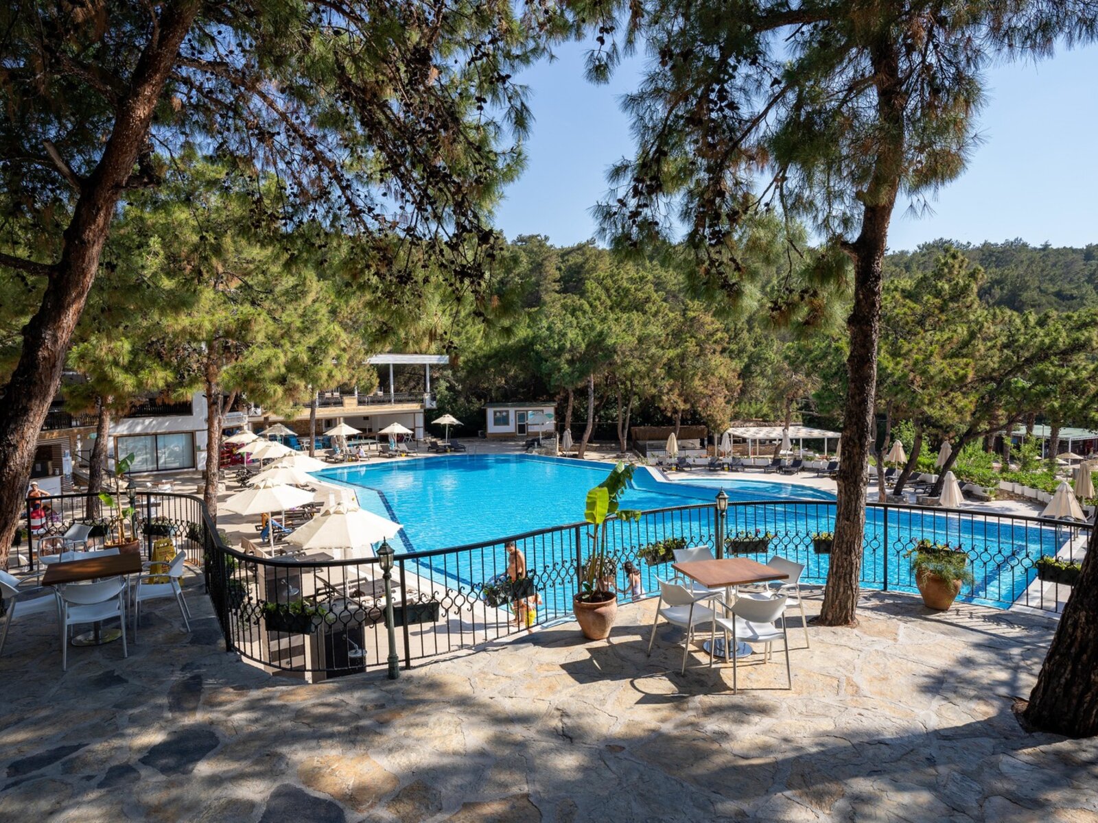 Main Pool
