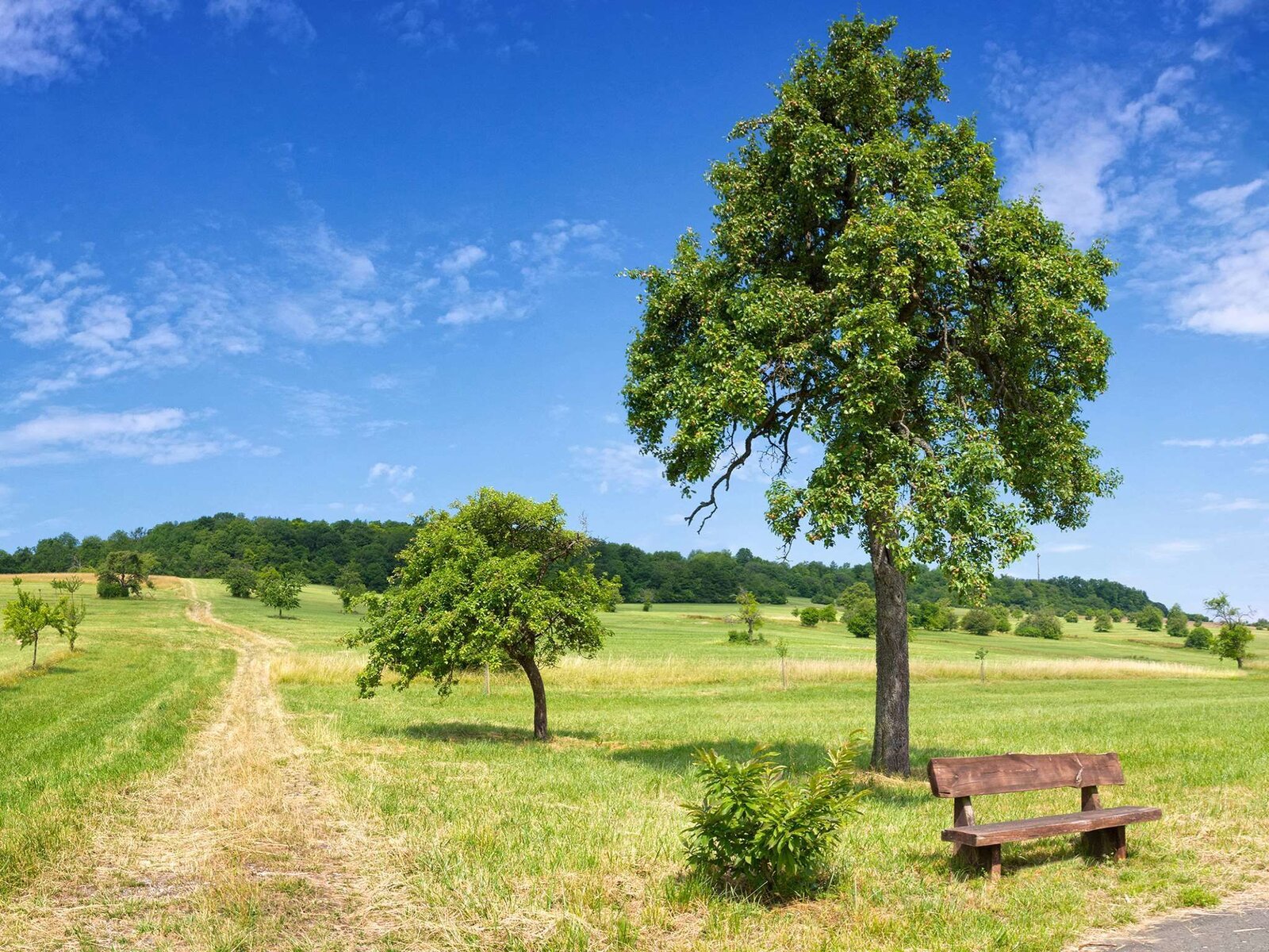Landschaft