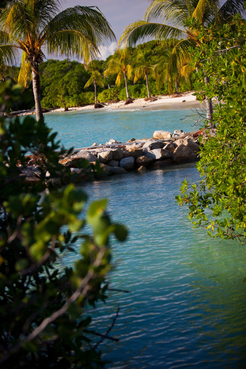Renaissance Island