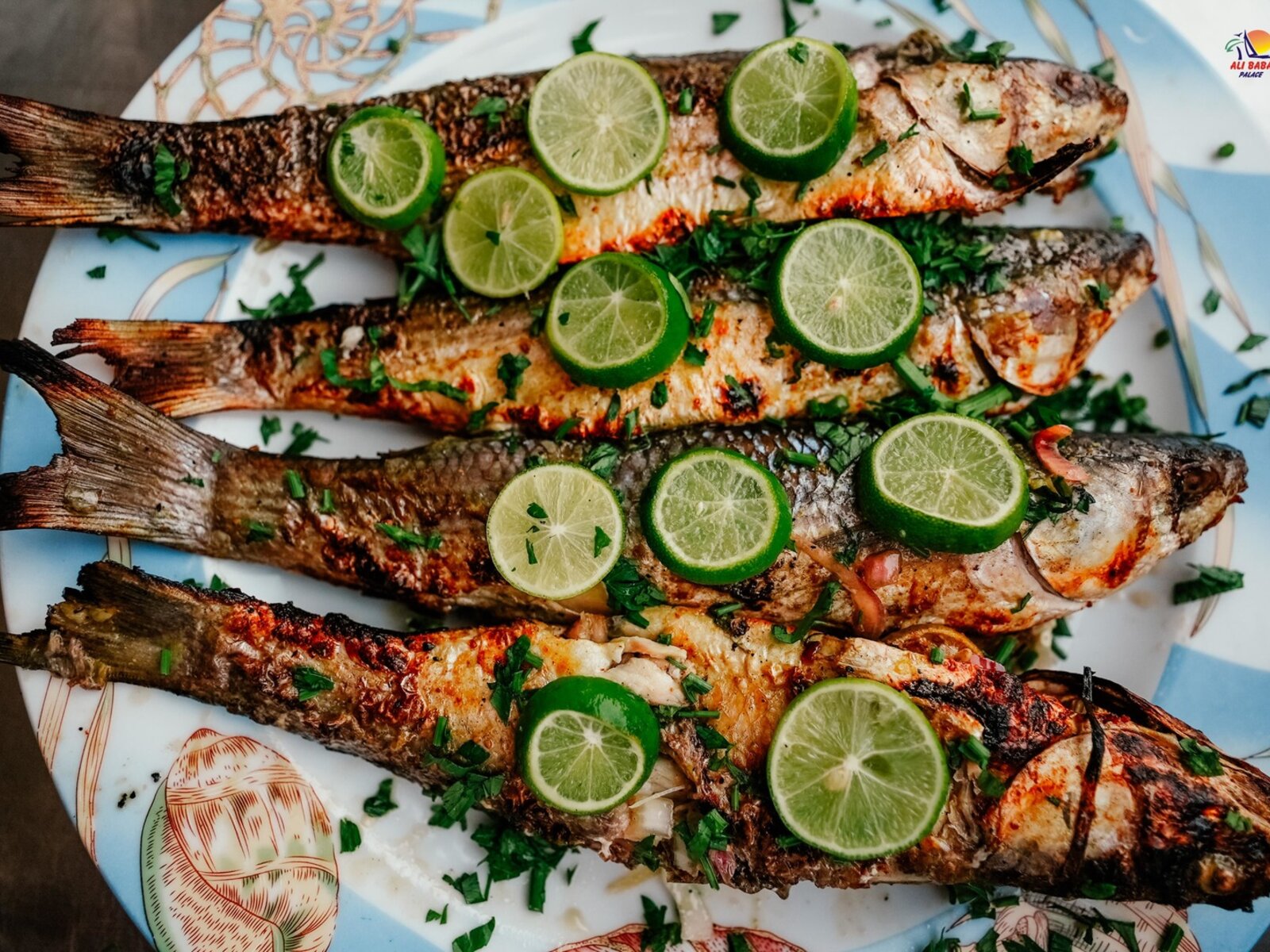 Fish