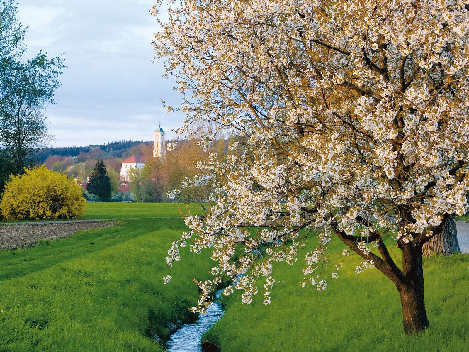 Landschaft