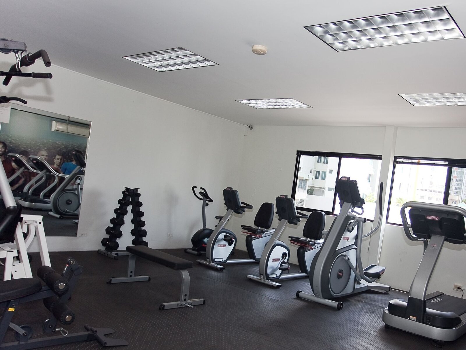 Sport