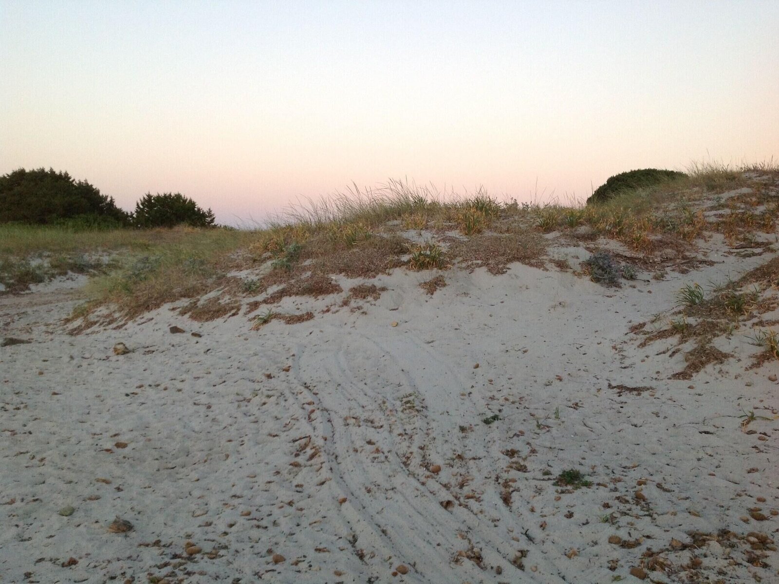 Landschaft