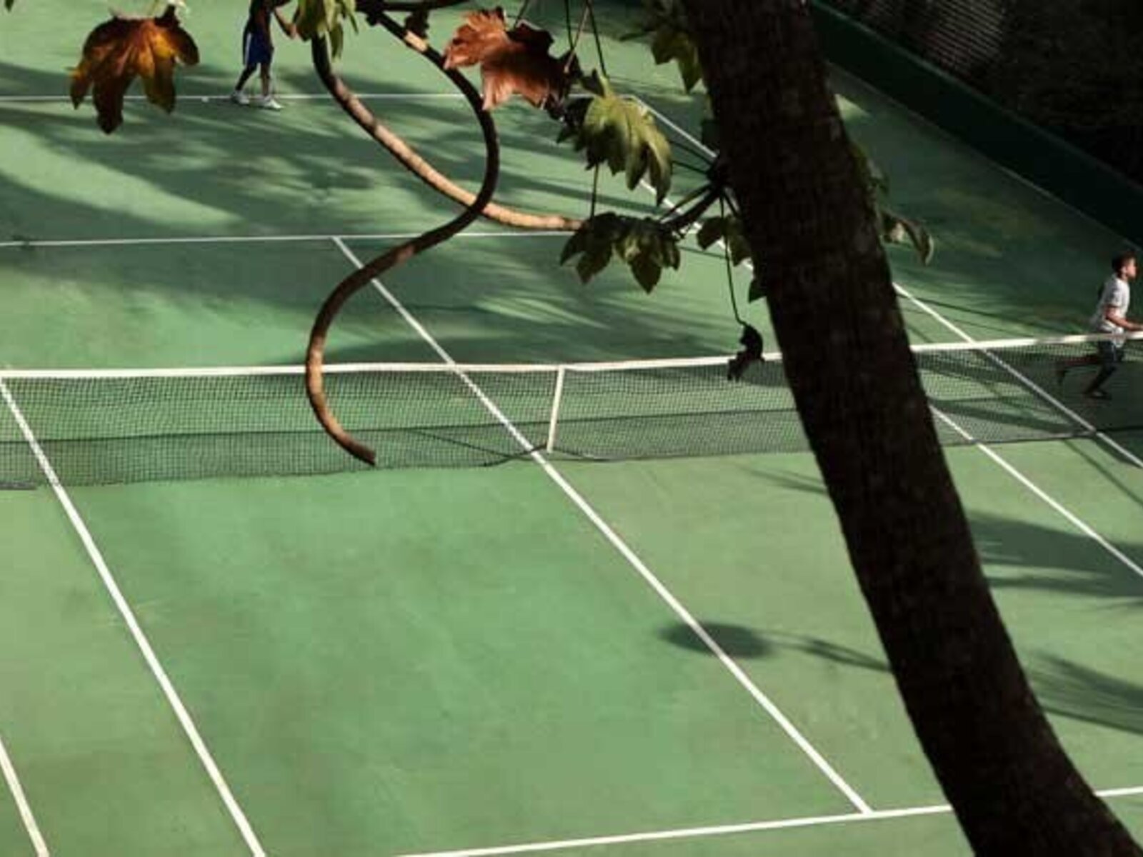 Sport