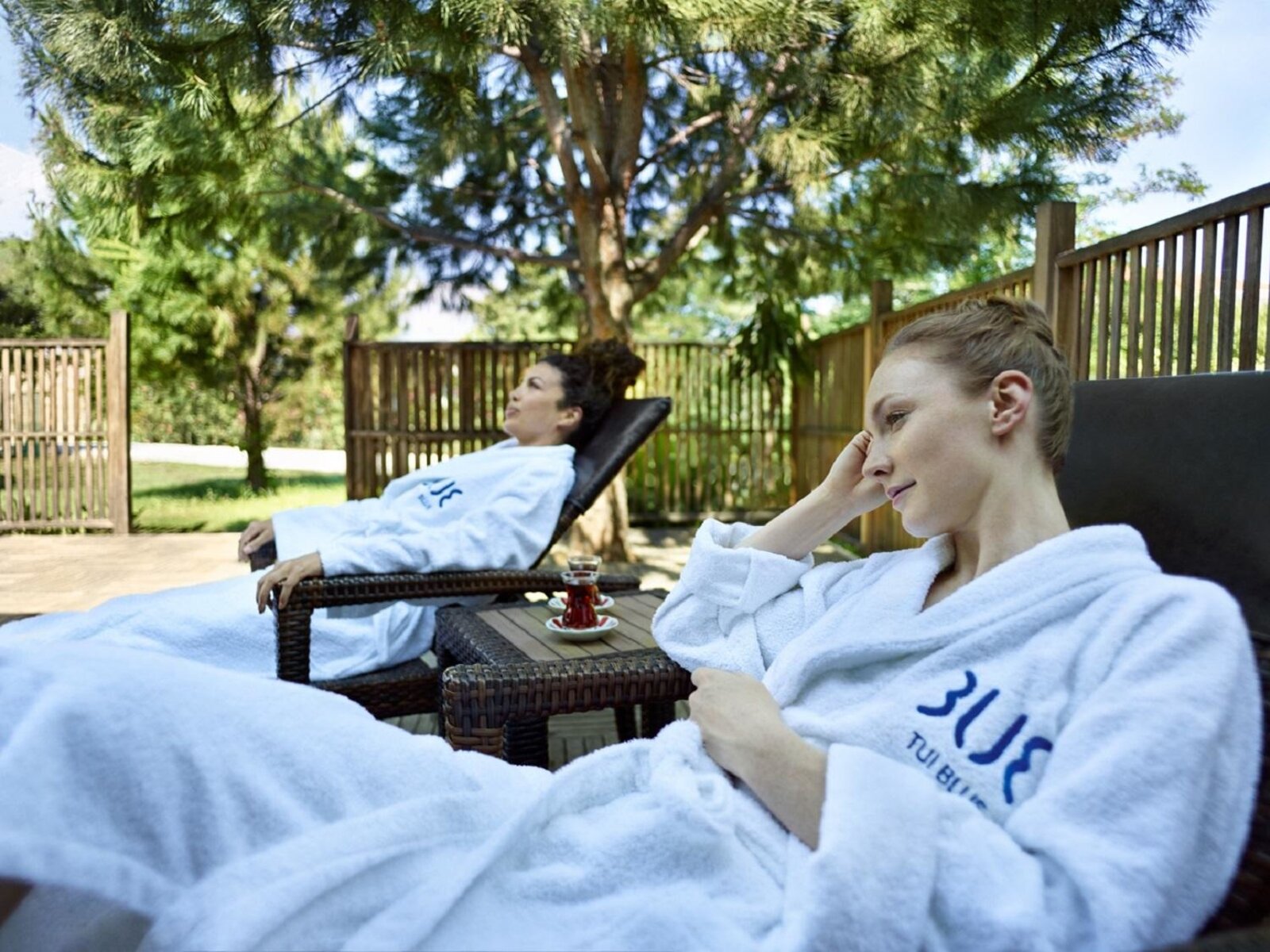 Wellness