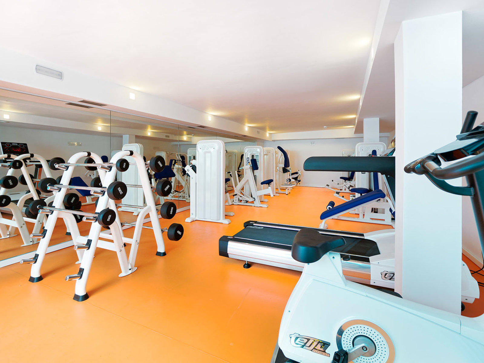 Sport