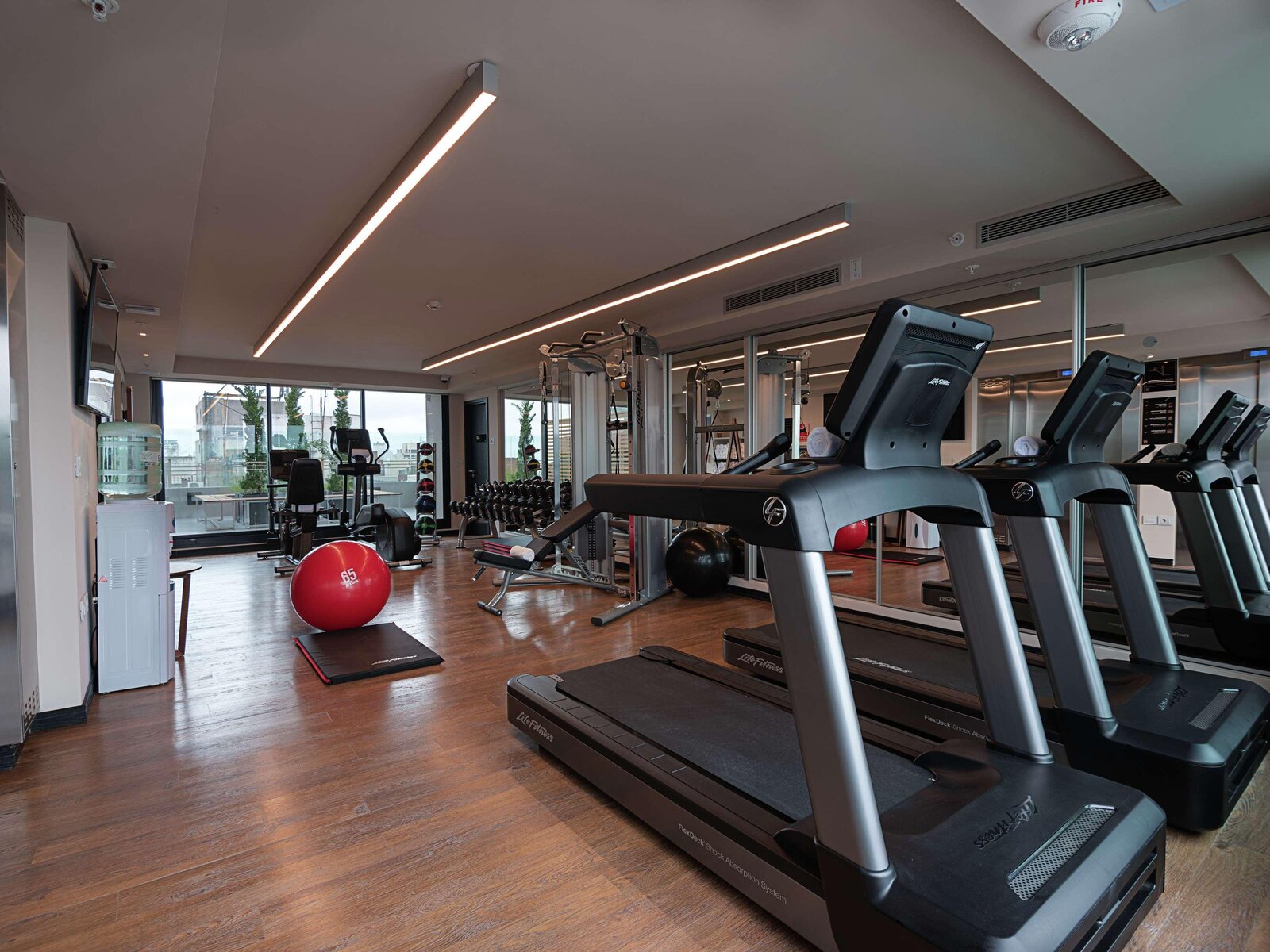 Sport