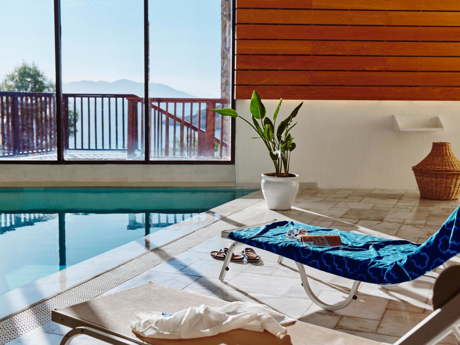 Wellness
