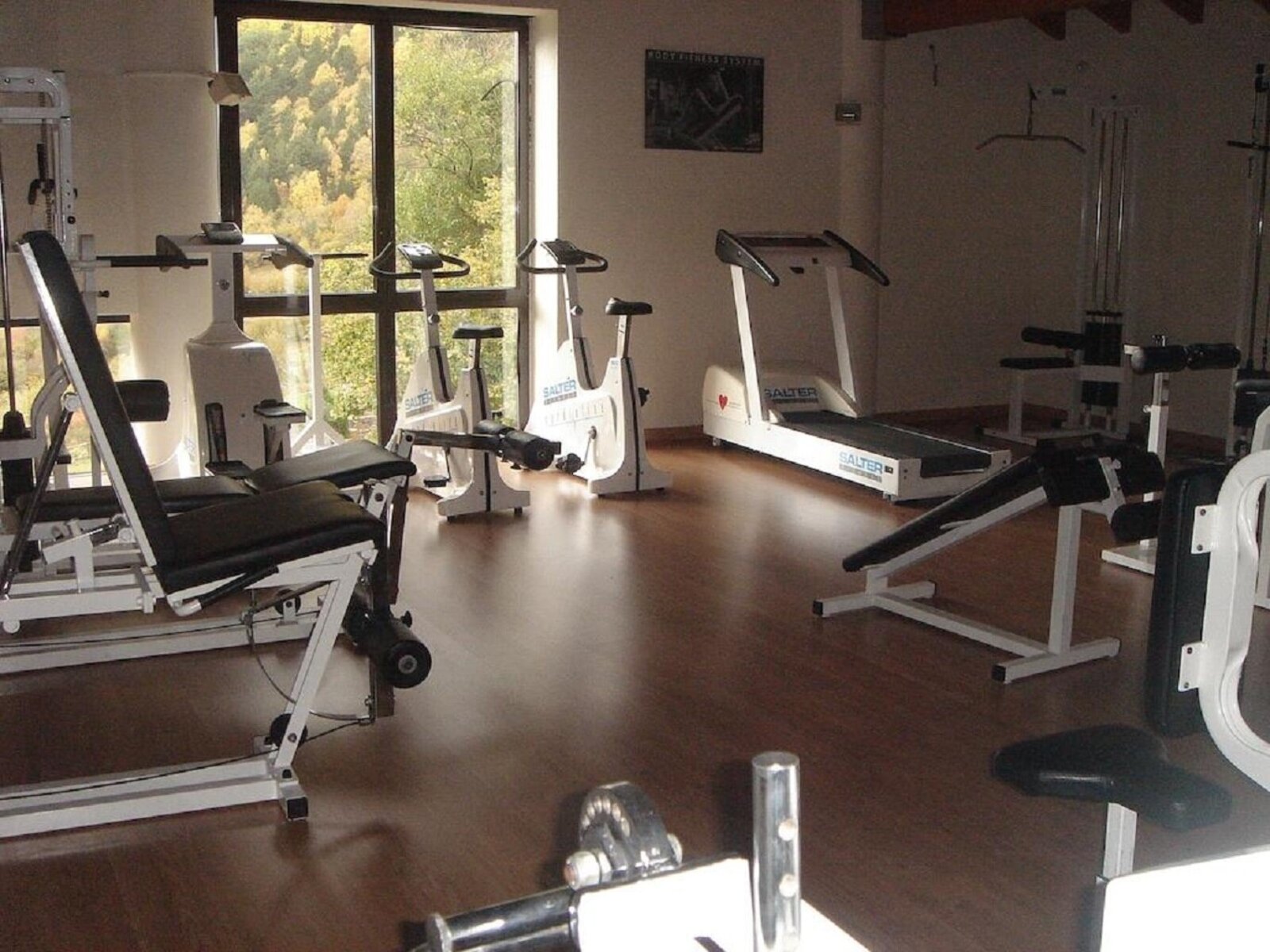 Sport
