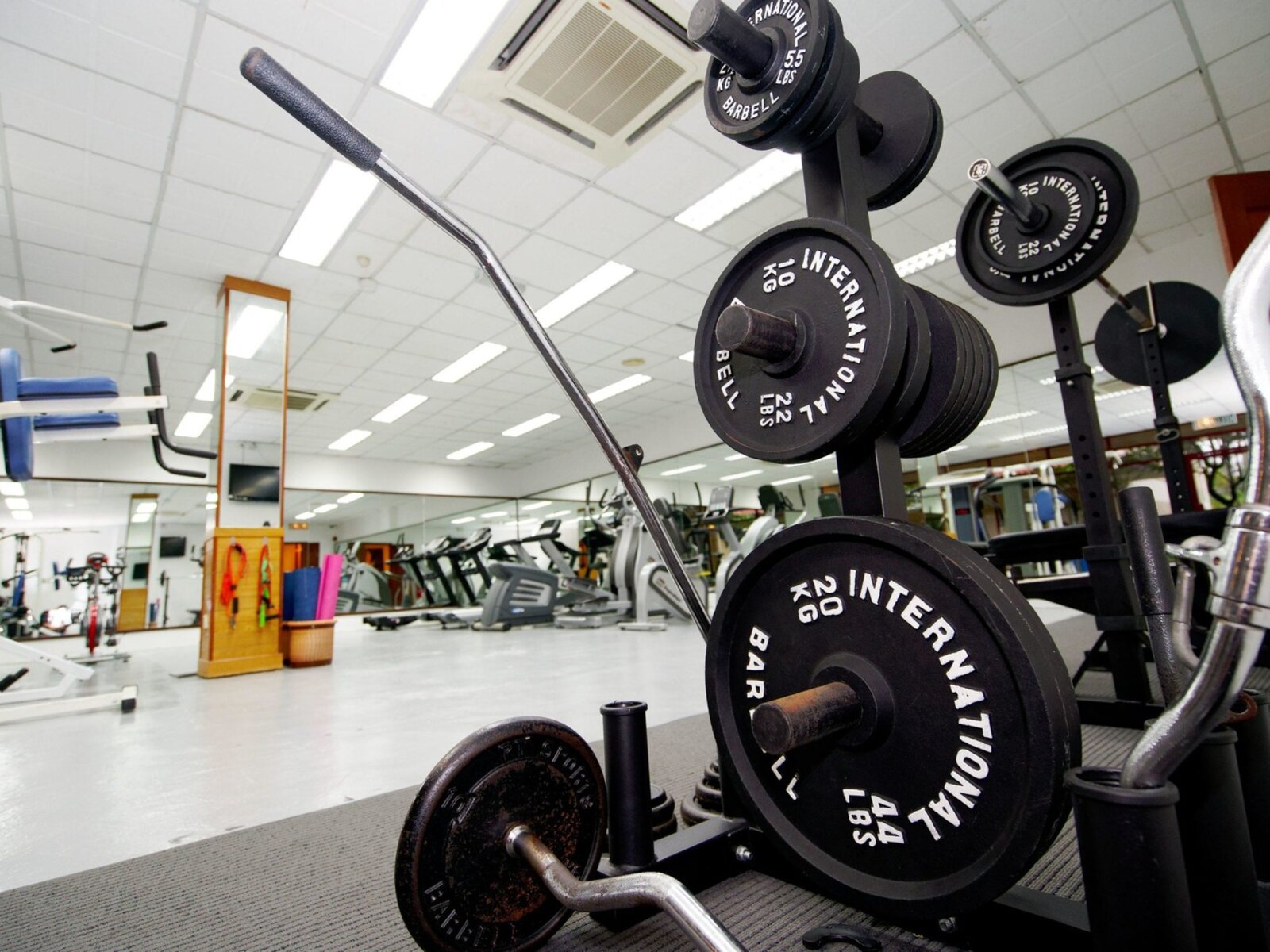 Sport