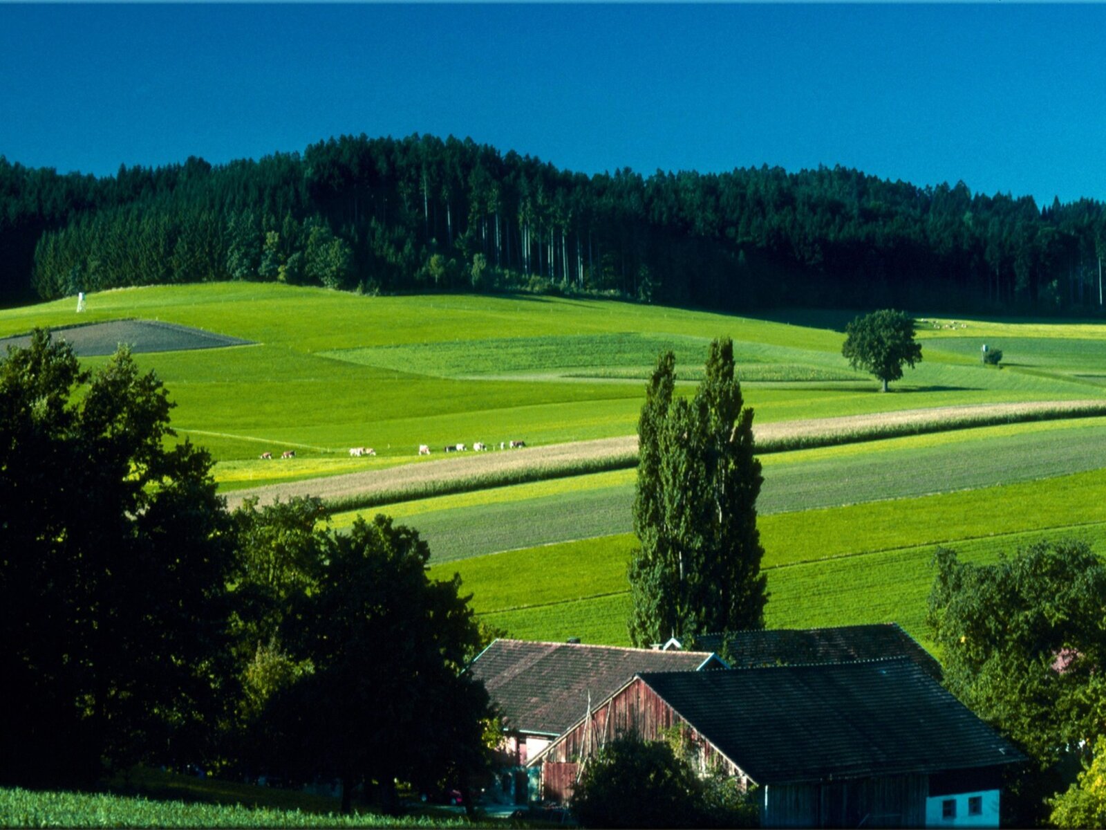 Landschaft
