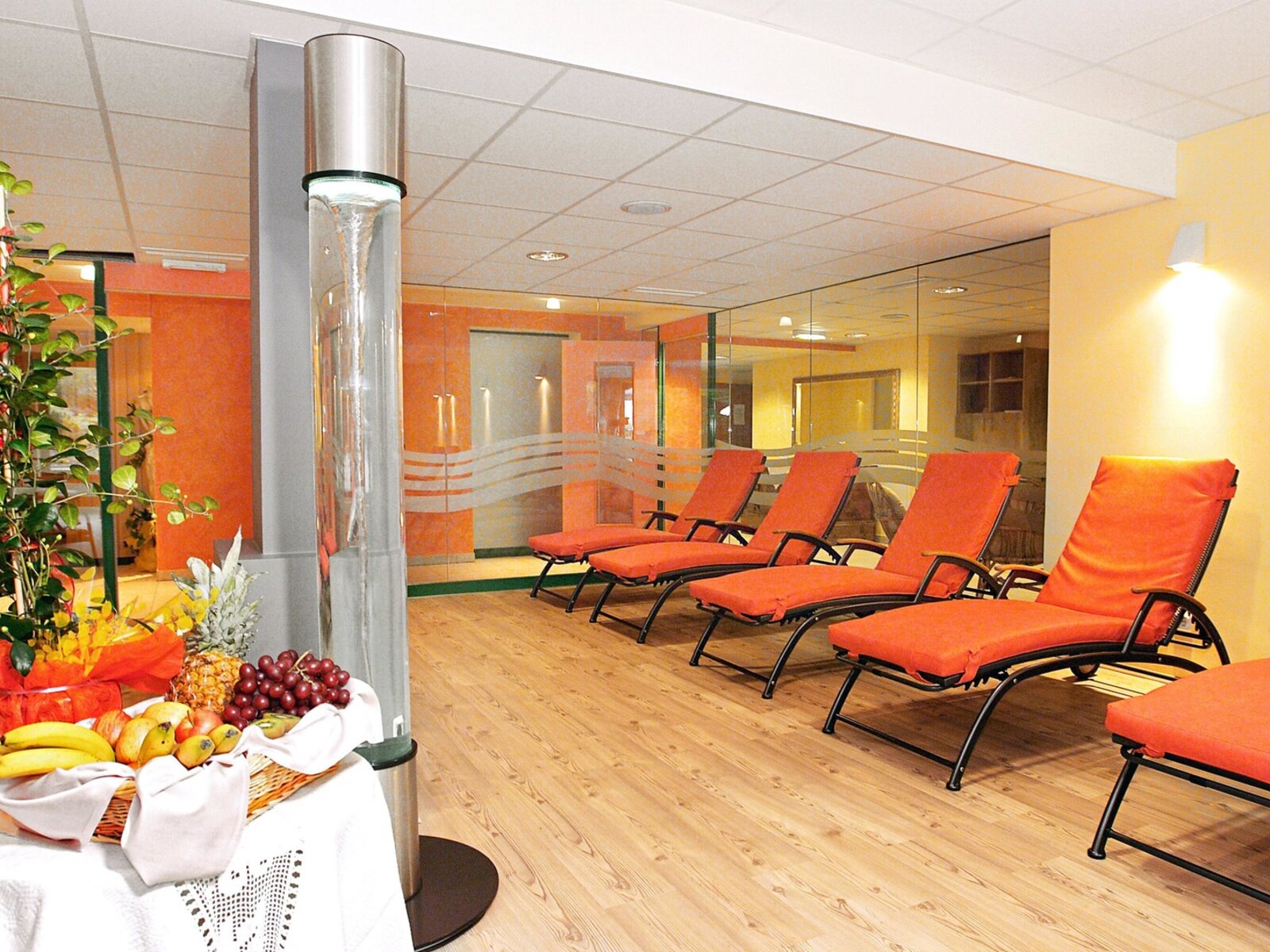 Wellness