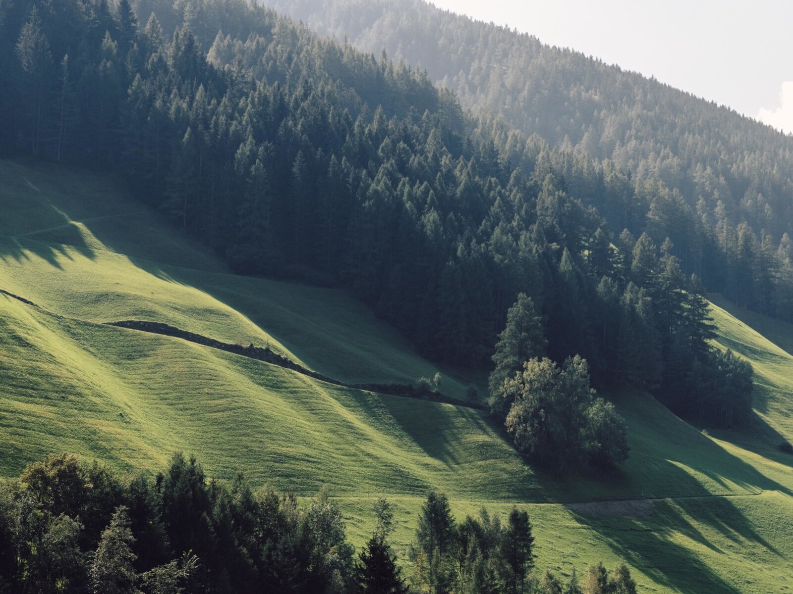 Landschaft