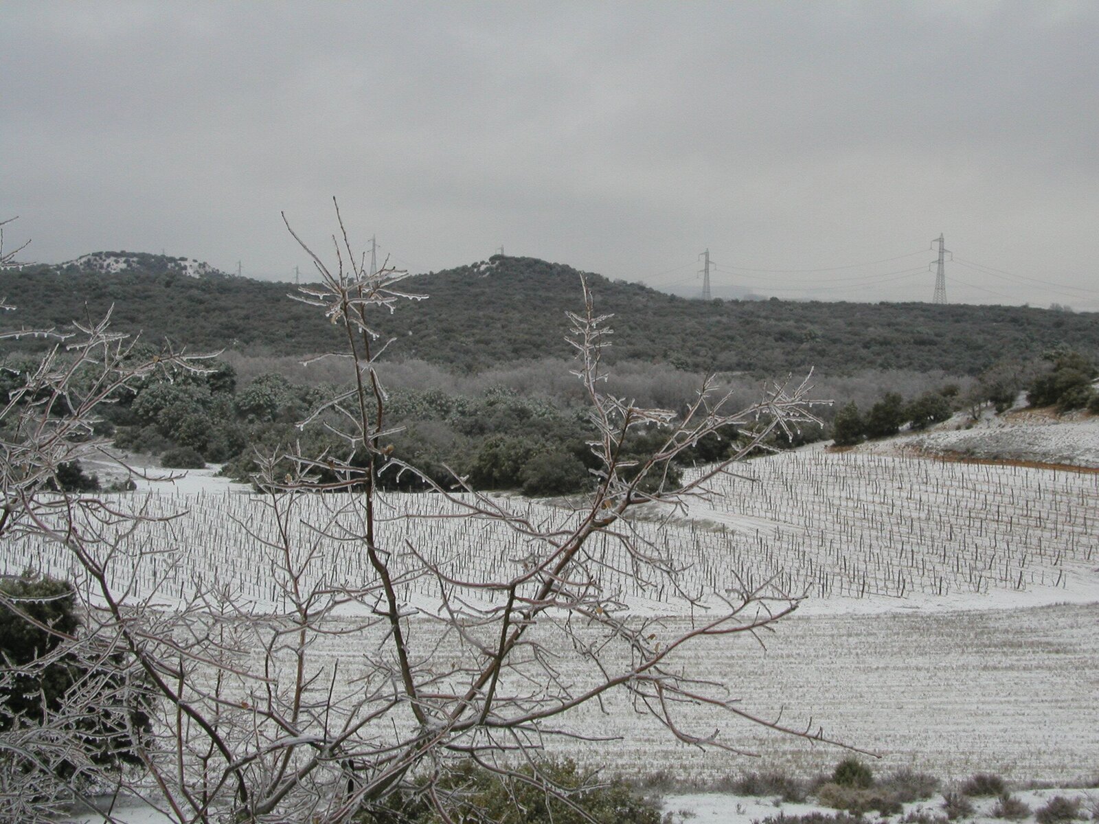 Landschaft