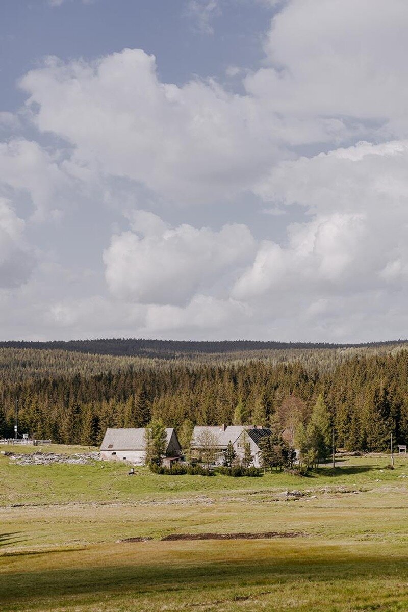 Landschaft