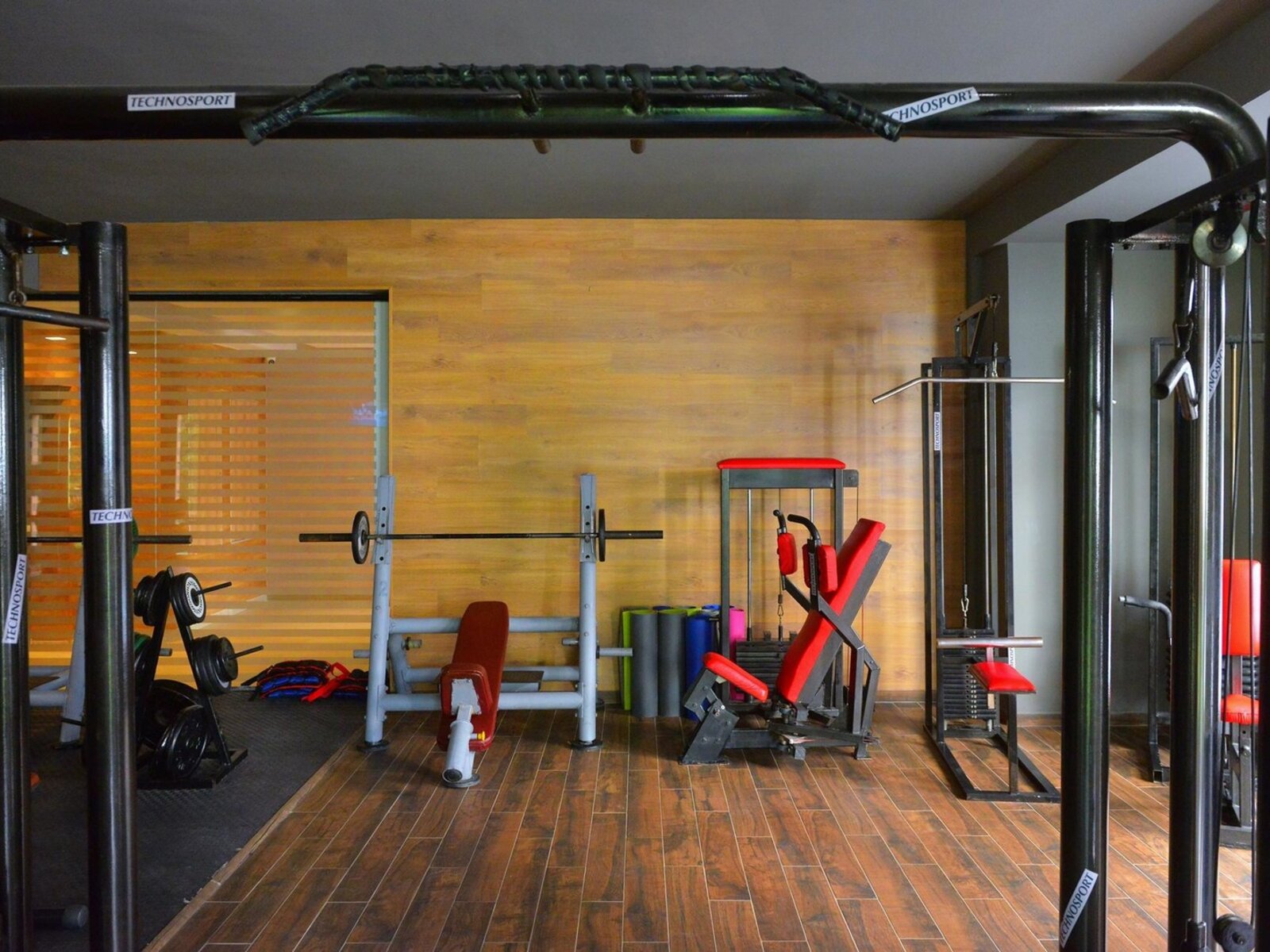 Sport