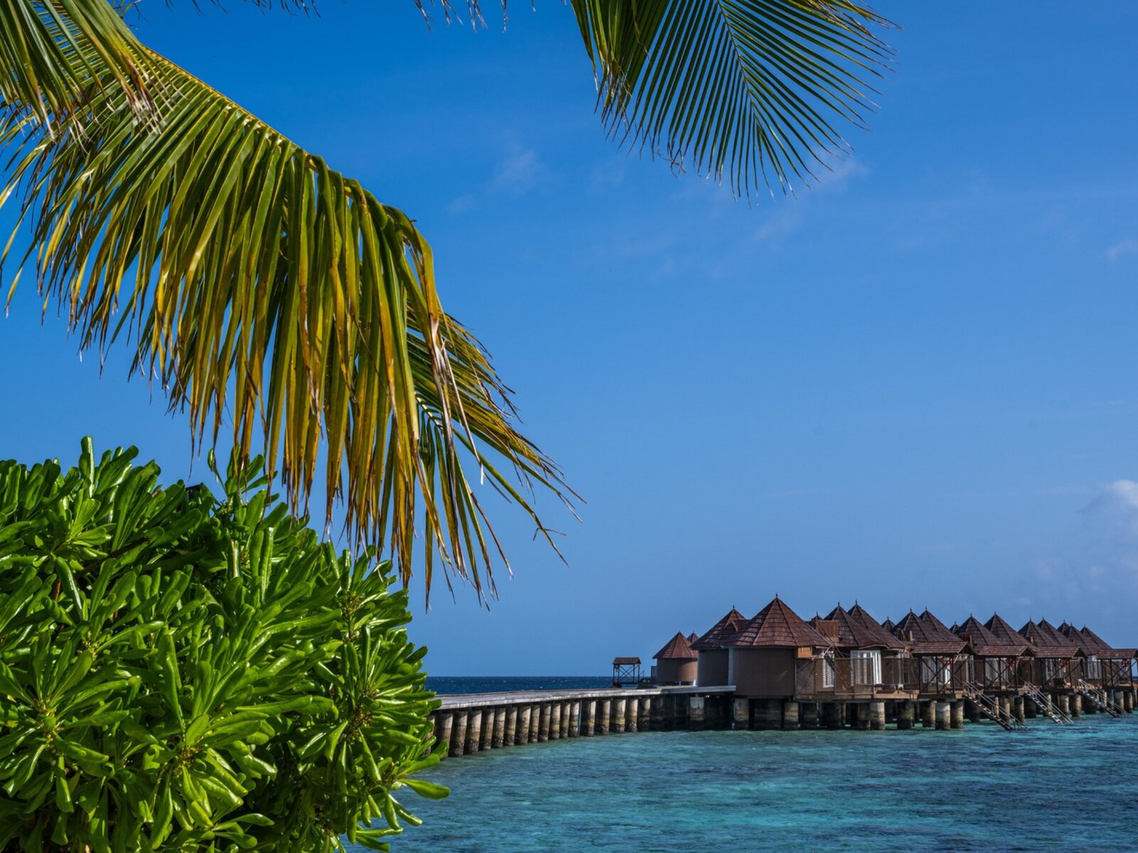 Wohnbeispiel Water Villa