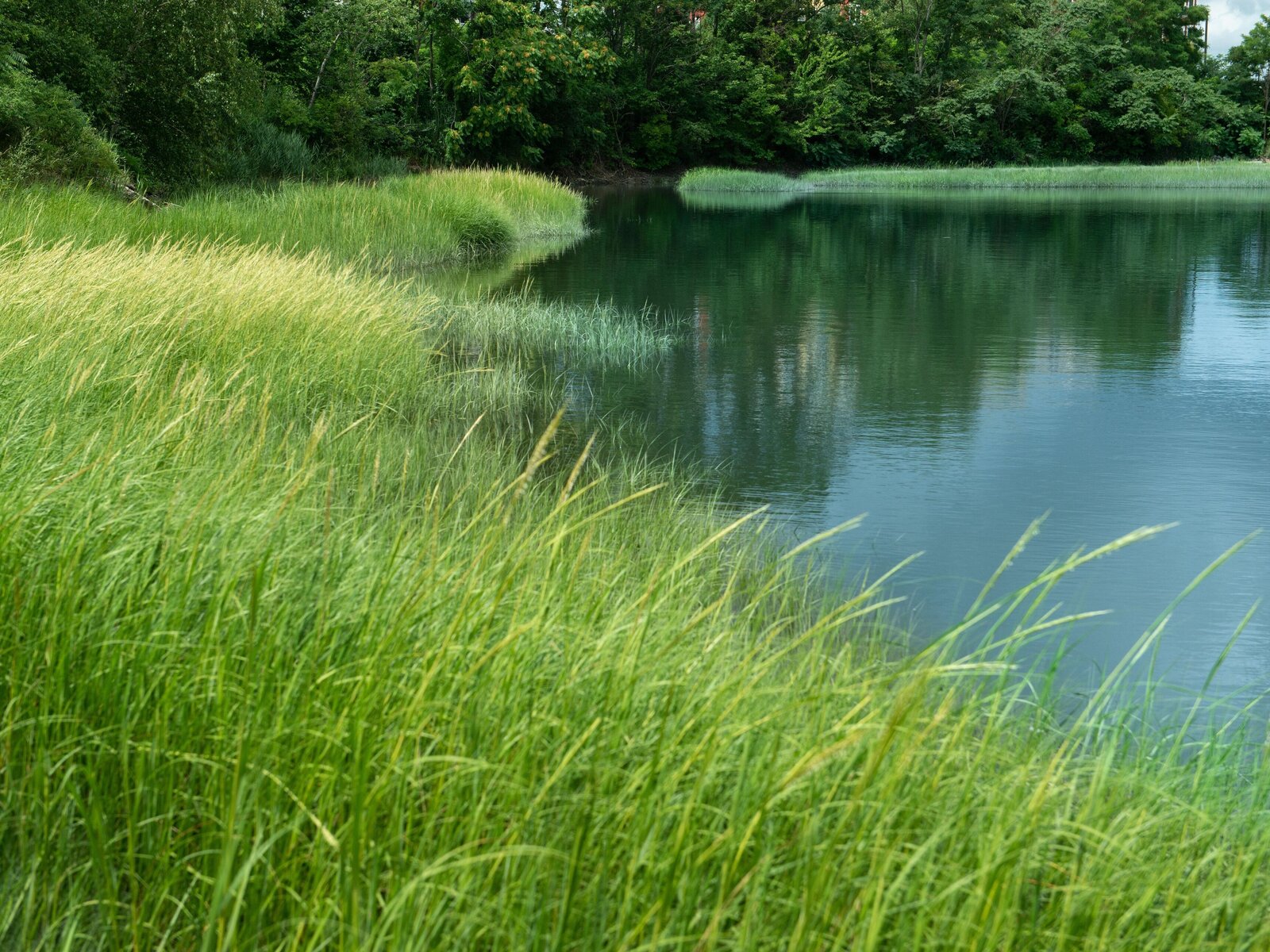 Landschaft