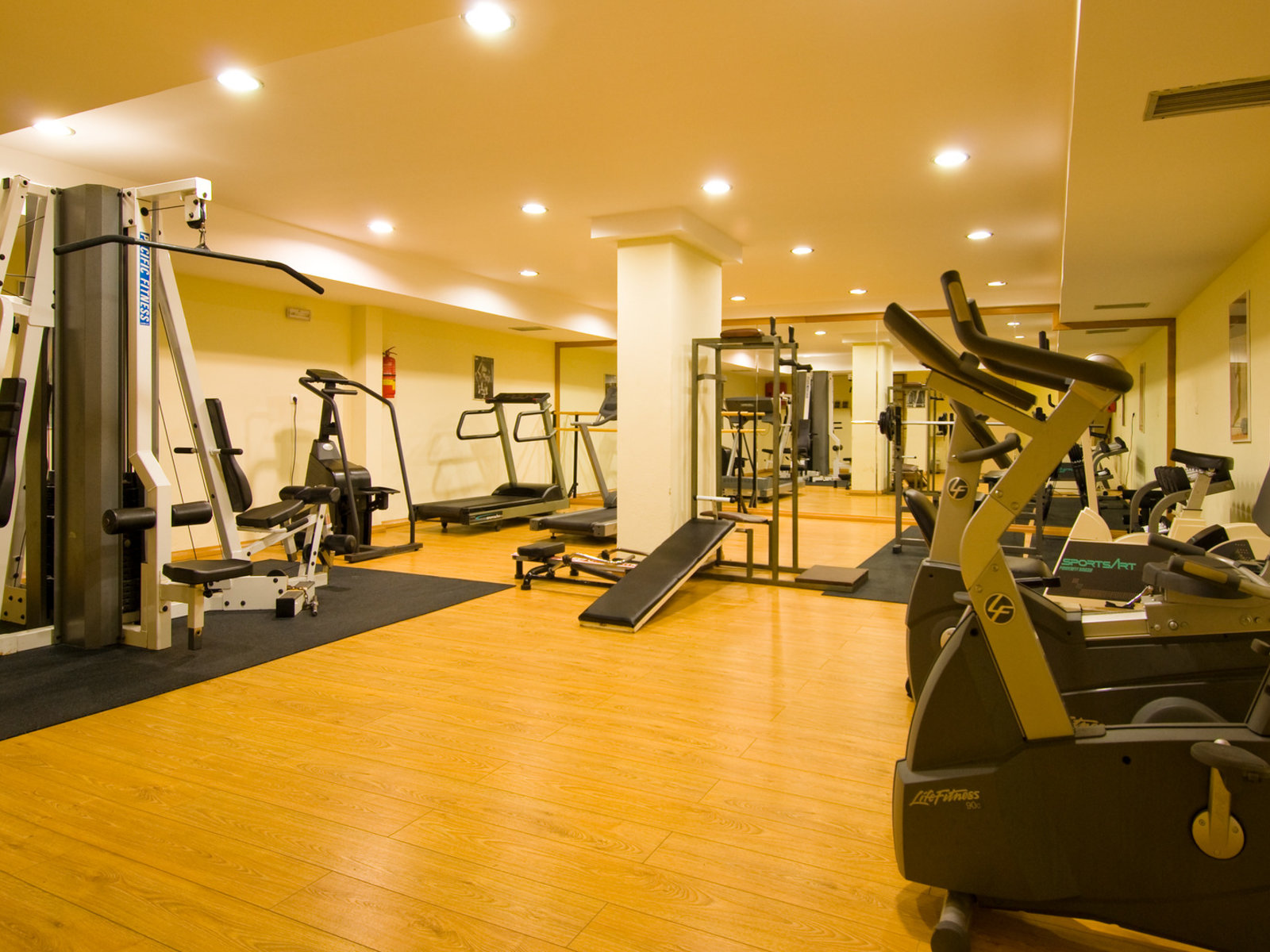Sport