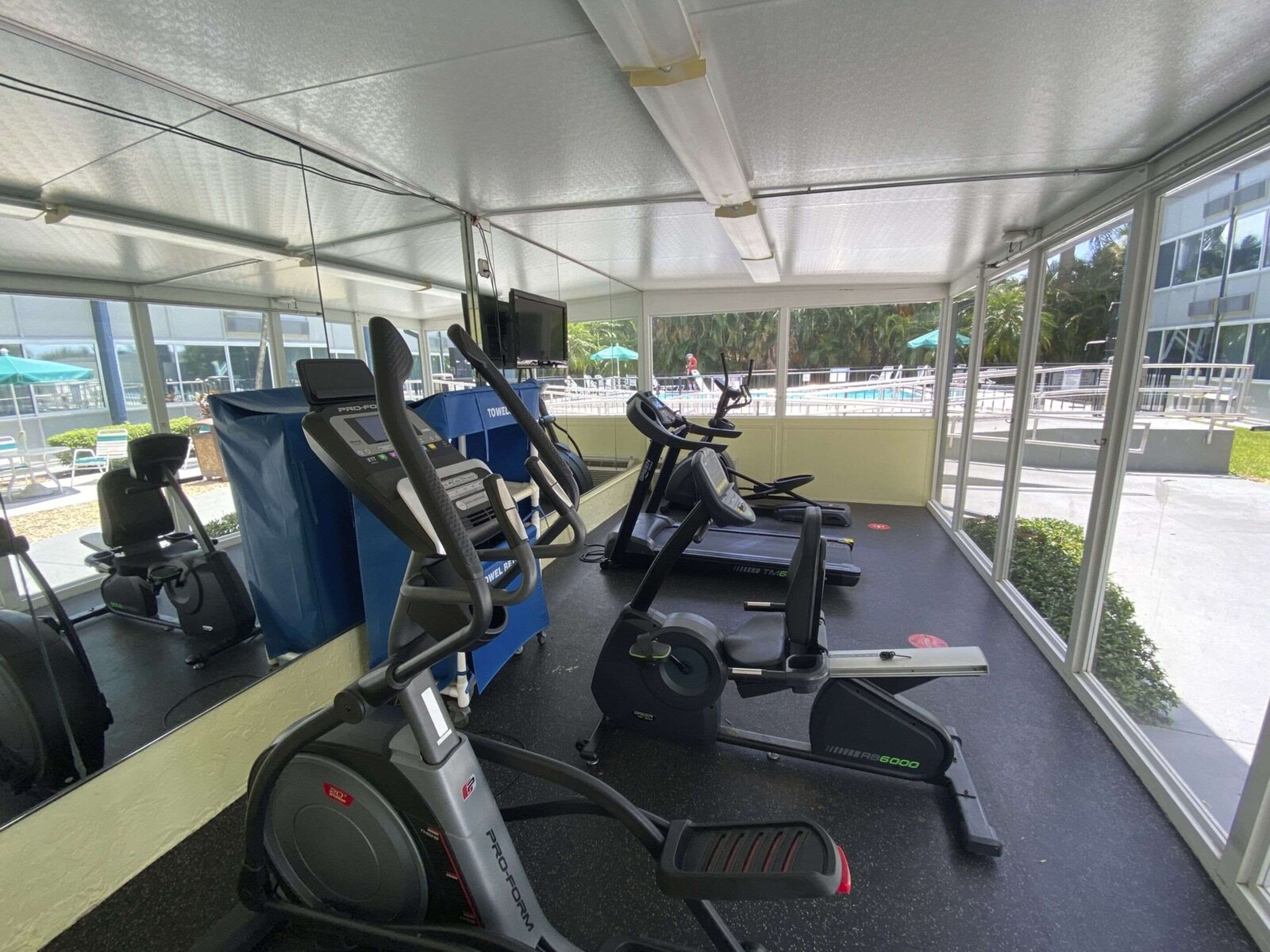 Sport