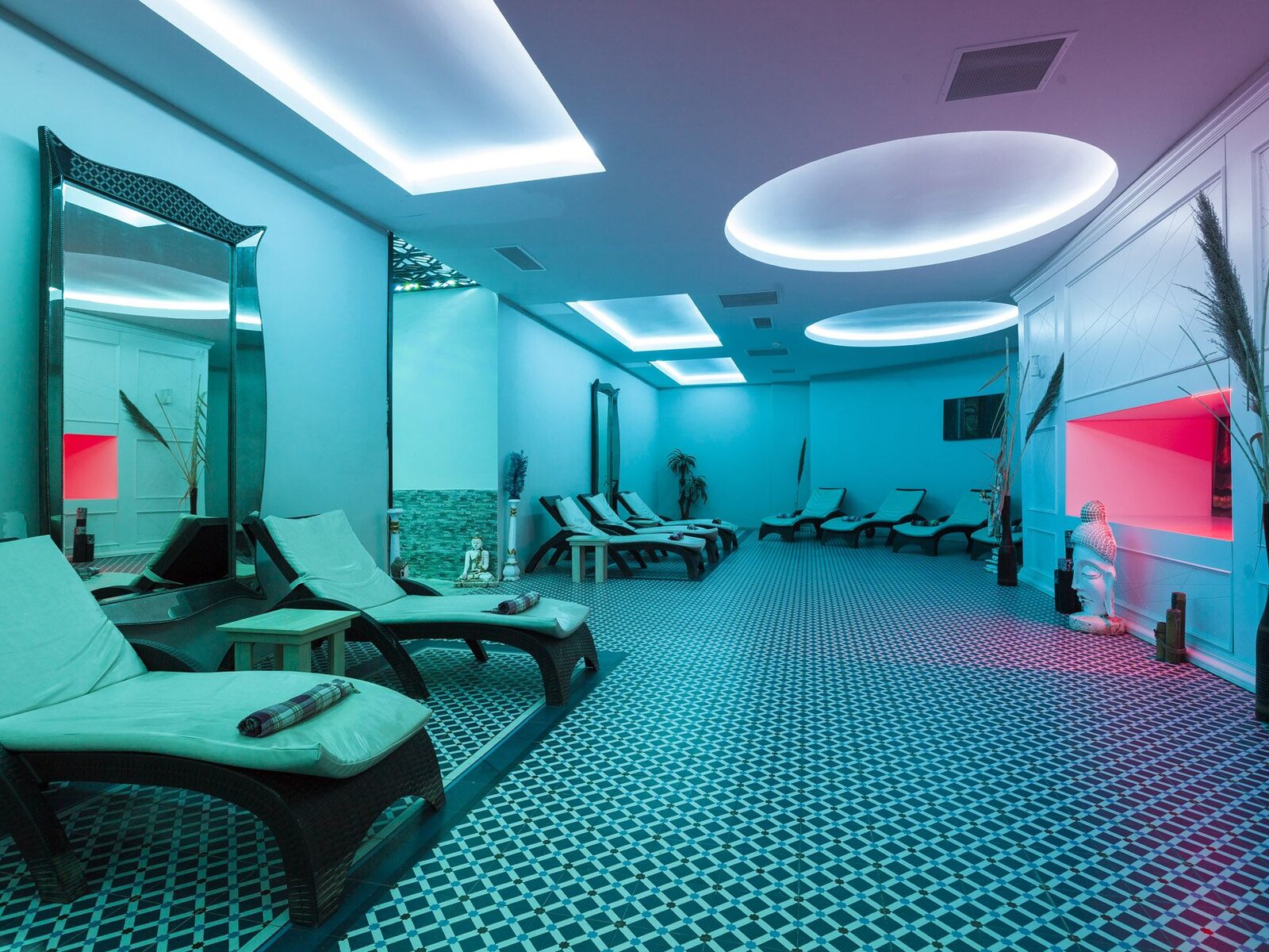Wellness