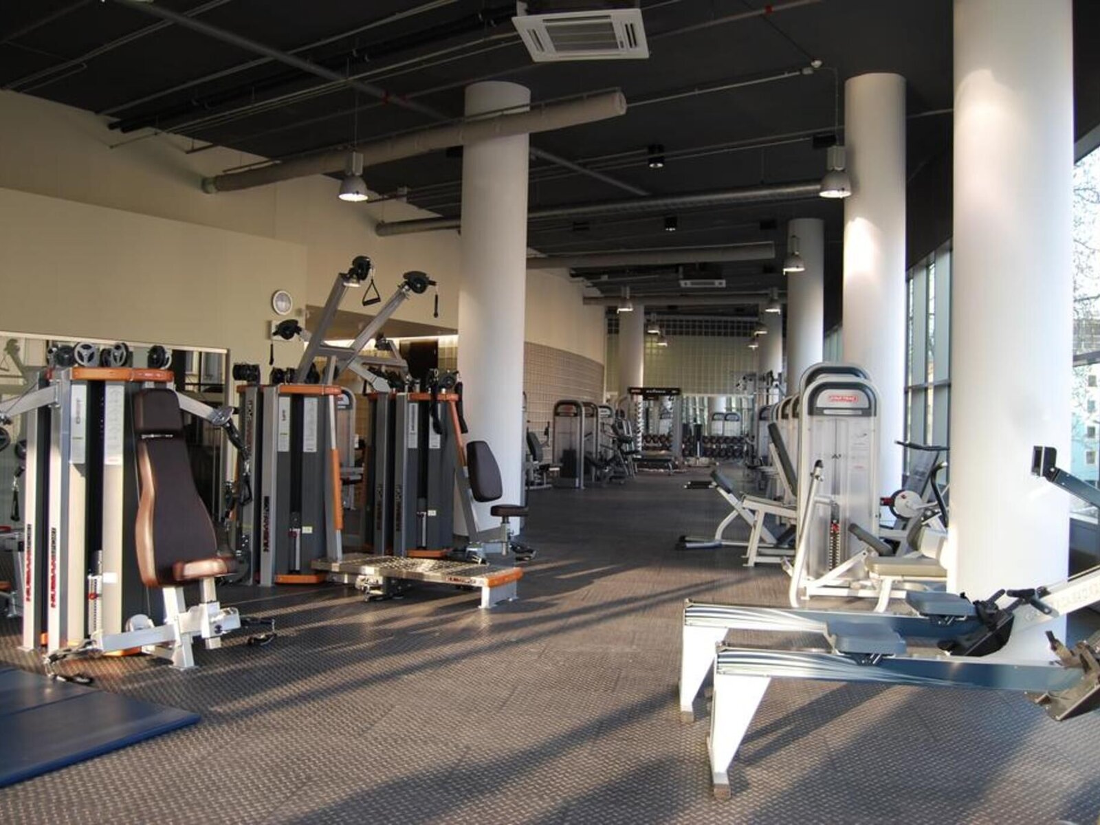 Sport
