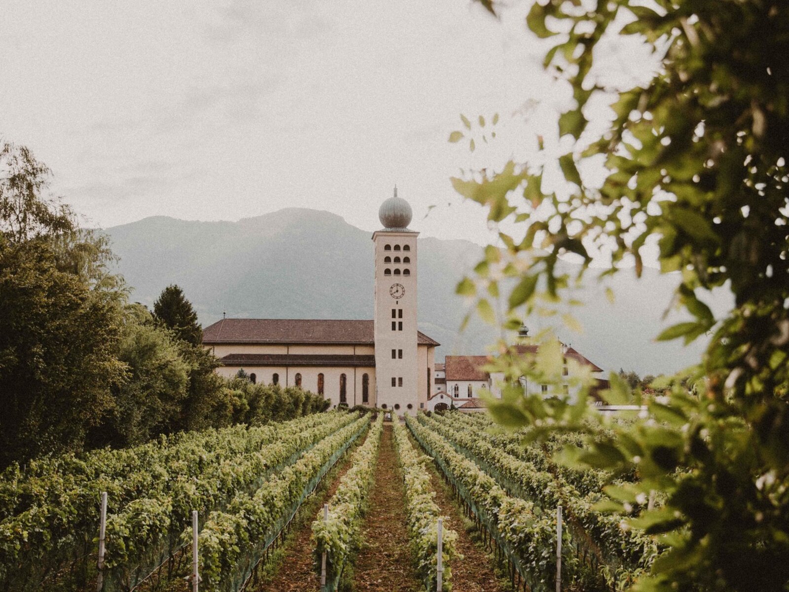 Landschaft