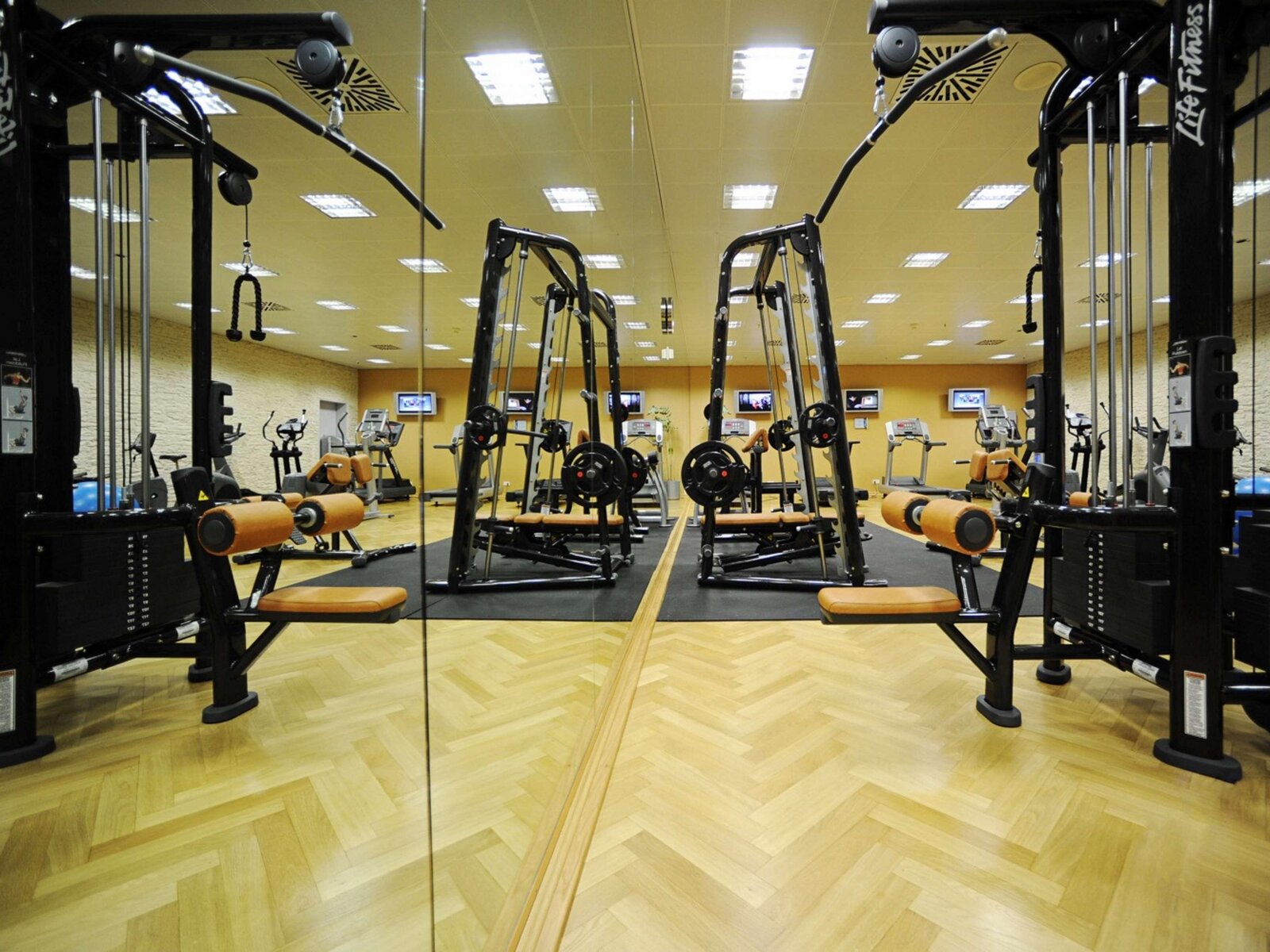 Sport