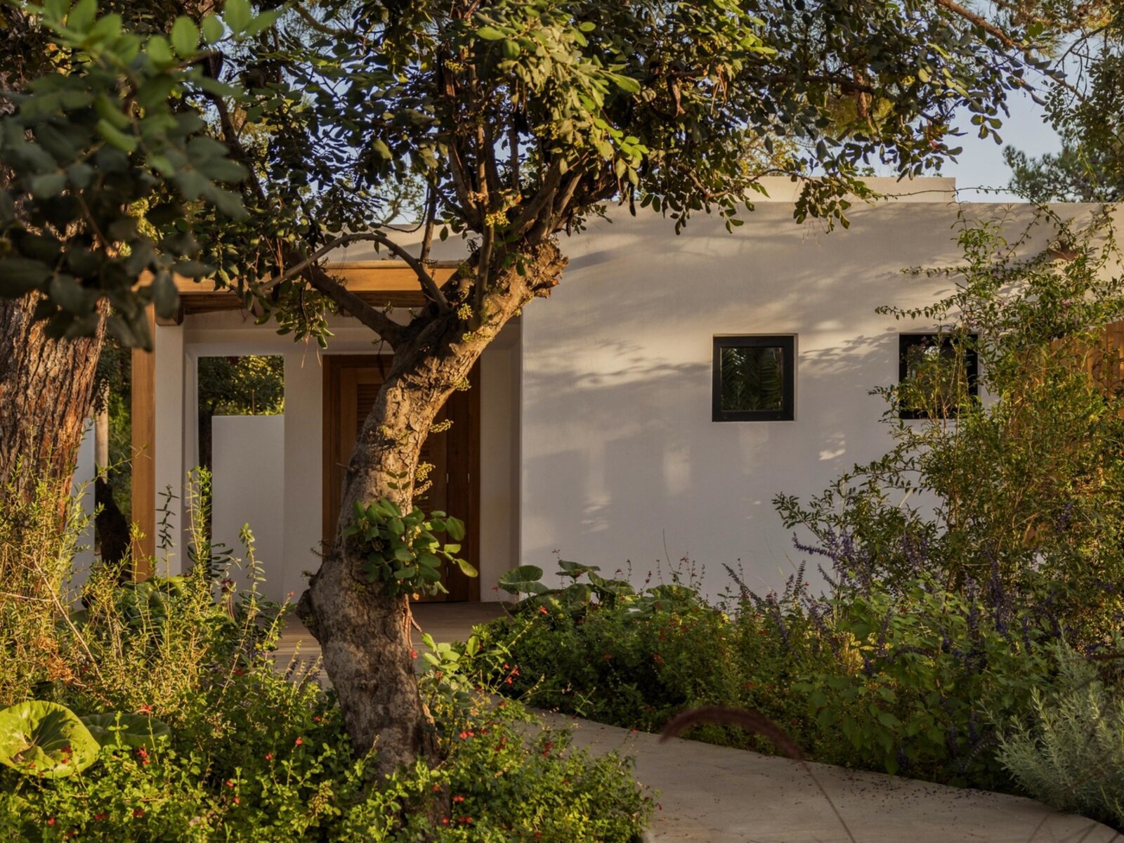 Wohnbeispiel Nature Superior Bungalow with Private Garden
