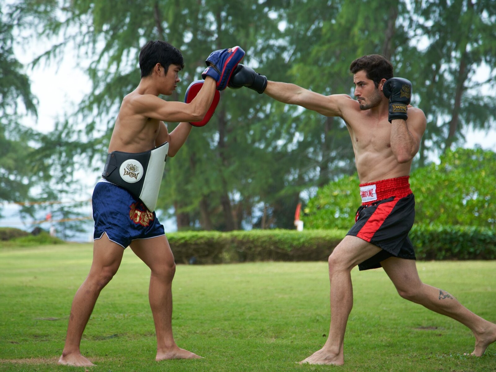 Sport