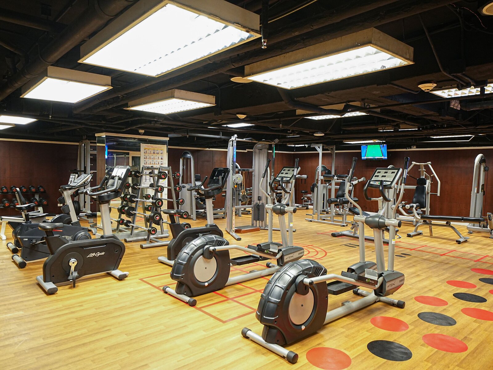 Sport