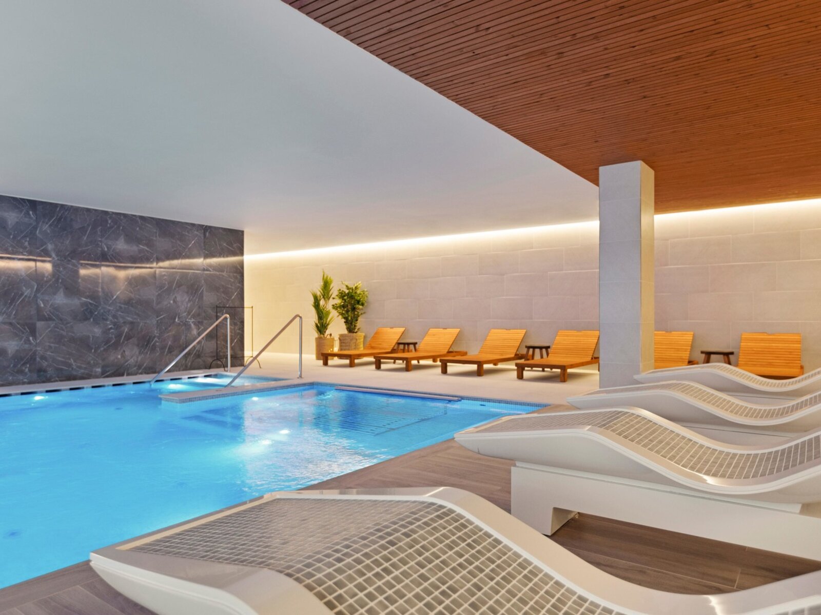 Wellness