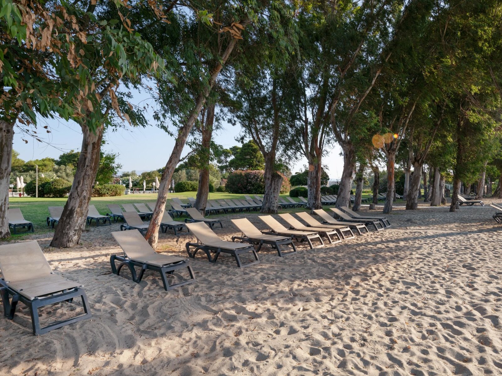 Strand
