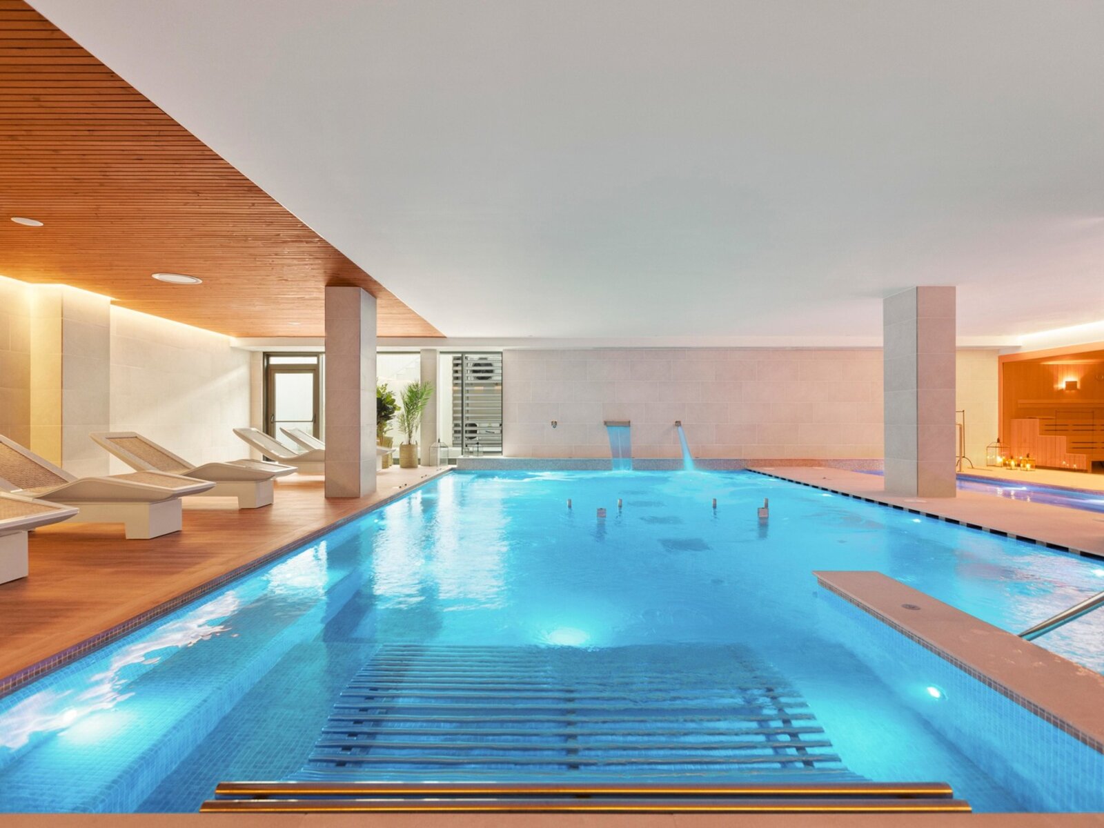 Wellness