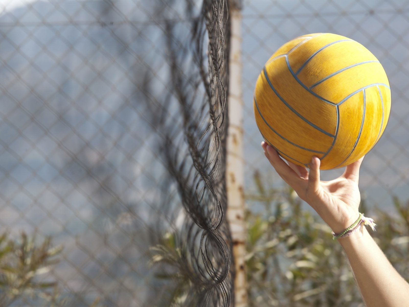 Sport