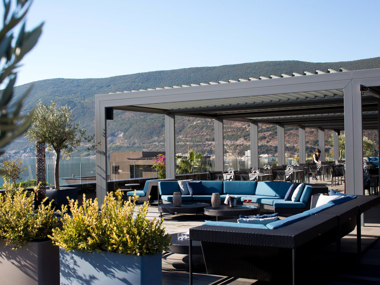 Olive Terrace