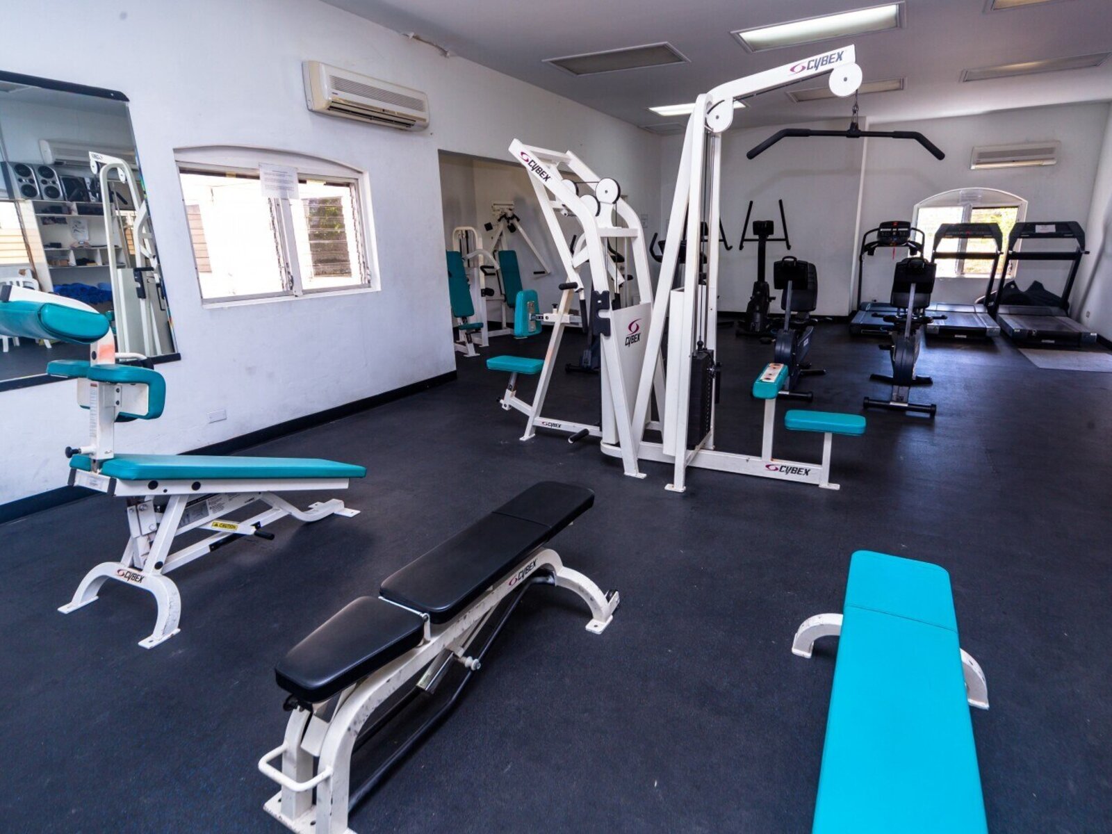 Sport