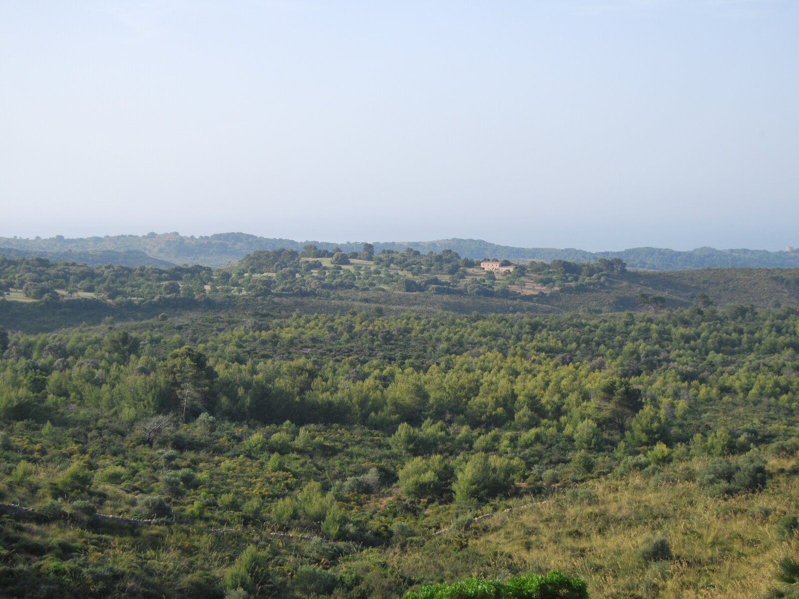 Landschaft