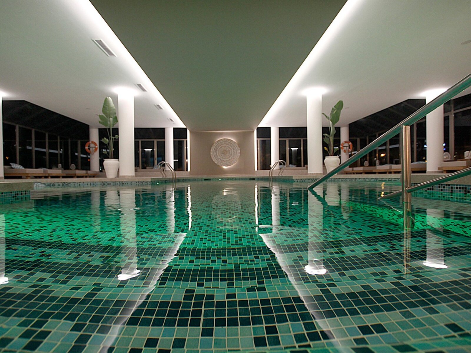 Wellness