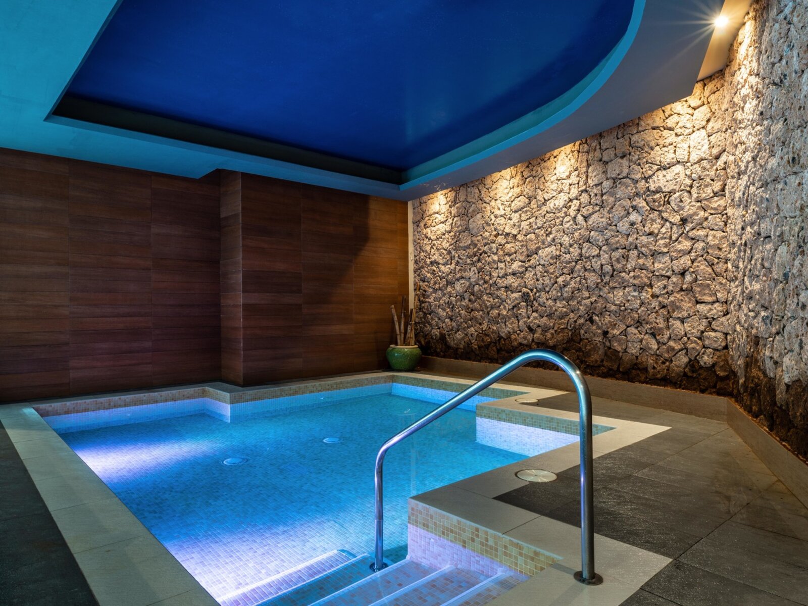 Wellness